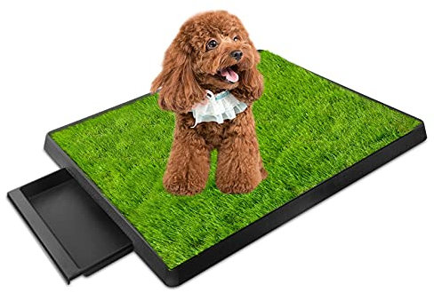 iMounTEK Gras Patch für Hunde, Kunstrasen für Hunde Töpfchen mit Tablett, Welpen Trainingspad, am besten für mittelgroße und kleine Hunde (Gras Patch mit Tablett)