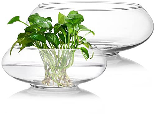 ZENFUN Lot de 2 vases ronds en verre de 15,2 cm/20,3 cm de large ouverture, terrarium hydroponique en verre transparent pour centre de table, mariage, décoration de la maison