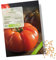 BIO Tomatensamen (Rouge de Marmande, 10 Korn) - Tomaten Saatgut aus biologischem Anbau ideal für die Anzucht im Garten, Balkon oder Terrasse