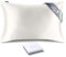 RENESSY Kissenbezug aus 100% Bio-Seide 50x70 cm - 22 Momme Maulbeerseide, Güteklasse 6A, Oeko-Tex zert. in Deutschland - Luxus für Haar und Haut, 1 Stück (Naturseide Off-White)