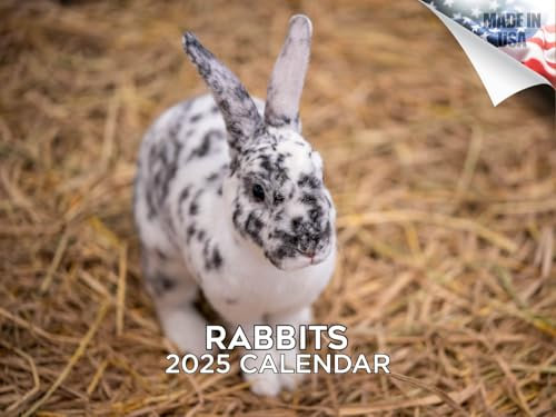 2024 2025 Hasenkalender – niedlicher Tier-Monats-Wandkalender – 30,5 x 45,7 cm offen – dickes Papier ohne Blutung – Geschenk – akademischer Lehrerplaner Kalender Organisieren und Planen