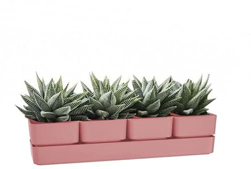 VIRSUS Fioriera con 4 vasi e unico sottovaso 313, misura 48x12x11 cm, Fioriera di forma rettangolare per interno e per esterno, vasi per piccole piante grasse, resistente ai raggi UV (Old Rose)