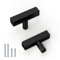 goldenwarm 10Pack Black Knobs for Cupboards & Draws, Single Hole Black Kitchen Handles T Bar