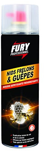 FURY - Insecticide Guêpes et Frelons - Action Choc Foudroyante Efficace Frelons Asiatiques - Usage Extérieur - Fabrication Française - Aérosol Longue Portée 750 ml