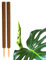 BigDean 2er Set Pflanzstäbe Kokos 80 cm - Monstera Rankhilfe Rankstäbe Stab Moosstäbe Pflanzenstäbe Kokosstäbe für Pflanzen - aus natürlicher Kokosfaser - verlängerbar