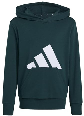 adidas Unisex Kids ESSENTIALS BIG LOGO HOODIE, aurora ivy/white, 15-16 Years
