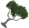 ROMISBABA Árbol Miniatura Realista para Modelos De Paisaje para Dioramas Ferrocarriles y Proyectos Arquitectónicos De Altura Decoración De Jardines y Escenarios DIY