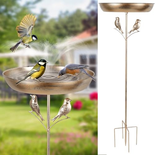 BAODBF Bain d'oiseaux Debout - Φ 30 - Vintage - en métal - Ultra Inoxydable - Robuste et - Nourriture et Bol d'eau - Vintage - Résistant au Gel - Grand - Abreuvoir d'eau pour Oiseaux (Oiseaux)