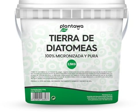 PLANTAWA Tierra de Diatomeas 2,5 kg | Polvo Ultrafino de Alta Pureza | Materia Prima Natural Sin Tratamientos Químicos | Tierra de diatomeas micronizada, Alta Capacidad de Absorción