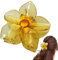 Pinza para el pelo floral, Pinza de pelo floral para mujer | Clip de garras de flores transparentes para cabello tropical - Clip de garra para el cabello temática playa para tocado de