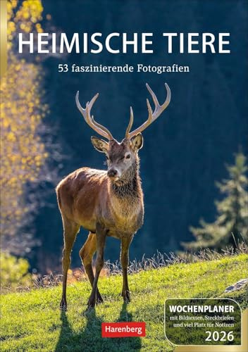 Heimische Tiere - Wochenplaner 2026 - Harenberg-Verlag - 54 Blatt mit großformatigen Tieraufnahmen und viel Platz für Notizen - Wandkalender - 25 cm x 35,5 cm