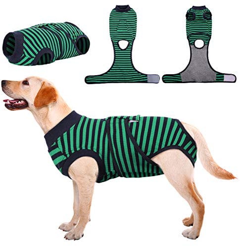 Kuoser Hundebody Nach Op, Hundebody Nach Kastration Rüde Hündin,Hundebody Nach Op Hündin, Atmungsaktiv Body Für Hunde Nach Op,Leckschutz Hund, Anti-Wundlecken Op Body Hund,Grün L