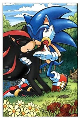 RIPEX Sonic The Hedgehog Leinwand-Poster, Schlafzimmer-Dekoration, Sport-Landschaft, Bürozimmer, Dekoration, Geschenk, ohne Rahmen, 30 x 45 cm