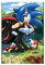 RIPEX Sonic The Hedgehog Leinwand-Poster, Schlafzimmer-Dekoration, Sport-Landschaft, Bürozimmer, Dekoration, Geschenk, ohne Rahmen, 30 x 45 cm