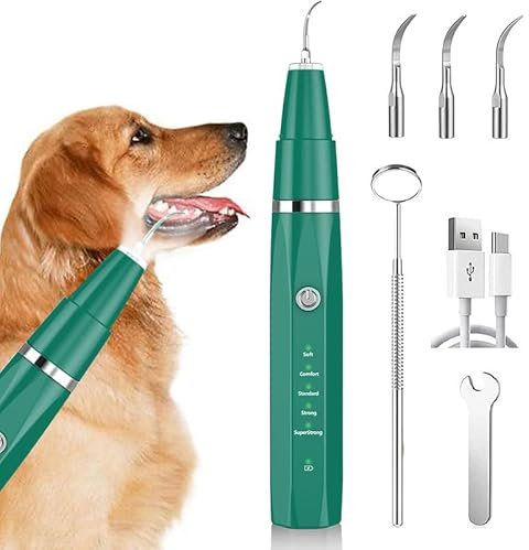 Zahnsteinentferner Zahnreiniger Ultraschall für Hund und Katze, Zahnpflege Set für Hunde & Katzen, Zahnreinigung und Reinigungsset Bekämpft Zahnstein Mundgeruch & Zahnfleischentzündungen, Grüner
