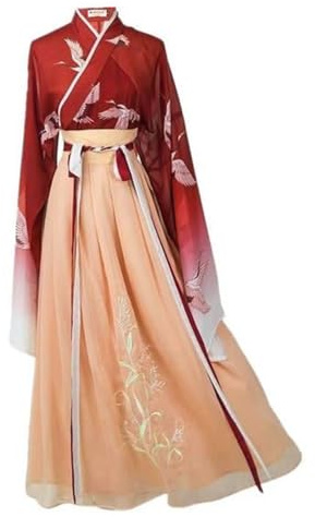 Xingchangda Robe Hanfu traditionnelle chinoise antique pour femme Jupe longue pour le quotidien, costume de scène et de cosplay