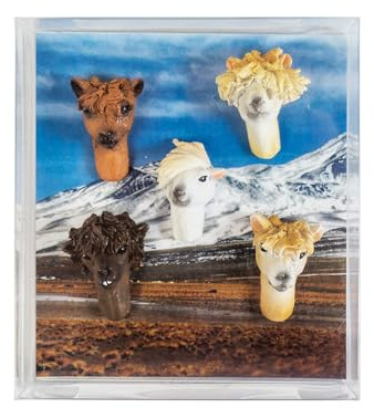 Kraftheld | 5er Set Deko-Magnete Alpaca | Tier-Magnete | bunt, dekorativ, farbenfroh | Kühlschrankmagnete in Form von Tieren | Magnet-Deko als Geschenk