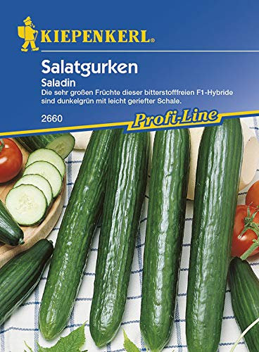 Kiepenkerl 2660 Gurke Saladin F1 (Gurkensamen)