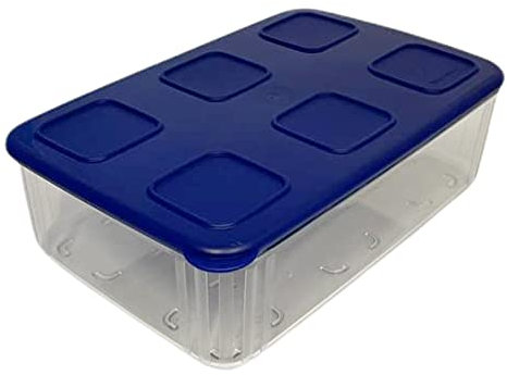 Tupperware Clear Mates Clear & Fresh,Recipiente con tapa (1.6 L, rectangular, transparente, azul oscuro, fácil de apilar, para mantener fresca, sistema de frescura, frutas, salchichas o queso)