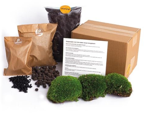 Exotenherz Green Your Bottle Komplettset für Deinen eigenen Flaschengarten Starter-Set ohne Glas ohne Pflanzen