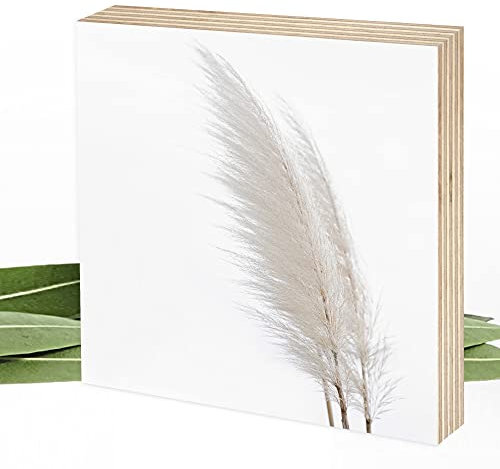 Wunderpixel® Holzbild Fotografie Pampasgras - weiß - 15x15x2cm zum Hinstellen/Aufhängen, echter Fotodruck auf Holz - Wand-Bild Aufsteller zur Dekoration/Geschenk-Idee