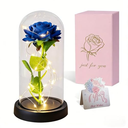 Dream Loom Cadeaux Floraux pour Femmes, Rose Bleue dans Un dôme Transparent avec lumières LED, décoration Artificielle avec Rose préservée pour Anniversaire, Saint-Valentin, fête des Mères, Noël