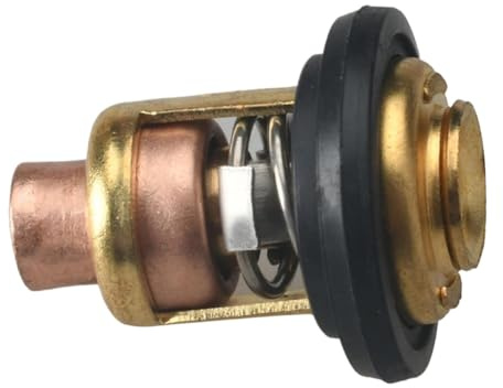 ZYPMoTo Thermostat 60 degrés 140F Compatible avec Moteur Hors-Bord 4 Temps 62Y-12411-00 677-12411-00