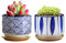 GeLive Japanese Style Wave Ceramic Succulent Planter Cactus Plant Pot Flower Container with Bamboo Drip Tray Set of 2