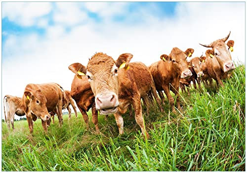 Wallario Vliestapete Fototapete Kühe im Sommer auf der Weide - Wandtapete Größe: 200 x 140 cm