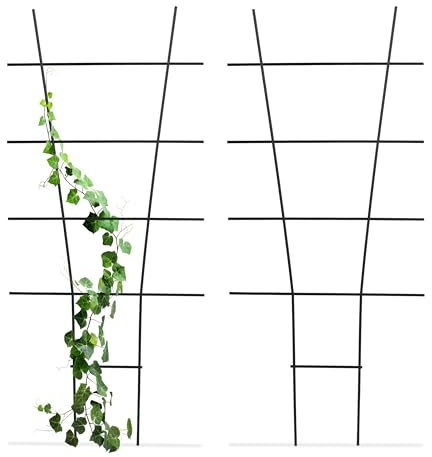 Relaxdays Supporto per Piante Rampicanti, Sostegno in Metallo, Set da 2 Tralicci Piantine in Vaso, HxL 79x35 cm, Nero, Acciaio