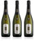 Adami Bosco di Gica - Valdobbiadene Prosecco Superiore Docg Brut – Raffinato ed Autentico - 11% vol. 0,75l - 3 bottiglie