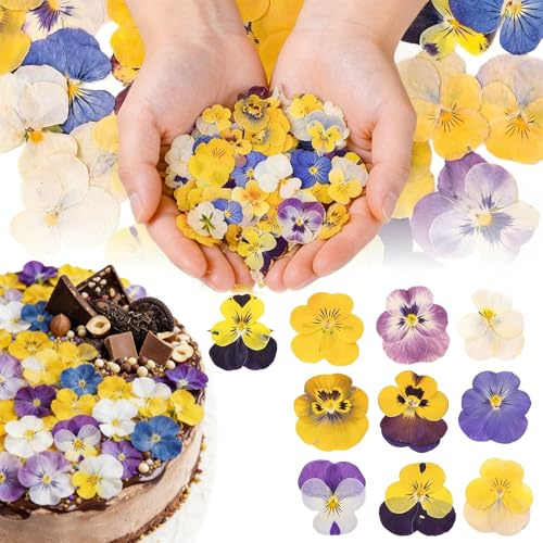 Celblisora ​​50 Stück 10 Sorten Natürliche Getrocknete,Gepresste Essbare Blüten für Tortendekoration,Mix Viola Tricolor für Cupcake-Topper,Cocktails,DIY-Kunsthandwerk