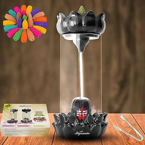 SIGNAMIO® Shiva - Fontaine de fumée avec statue Lingam du Seigneur Shiva - Porte-encens avec 30 cônes d'encens à refoulement - Pour la méditation et la décoration du temple