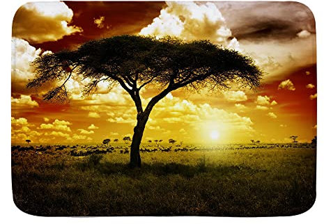 Badvorleger Afrika Sonnenuntergang 40X60Cm Türvorleger Schmutz Widerstehen Dauerhaft Rückseite Fußabtreter Für Garage Wohnzimmer