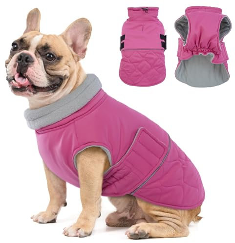 Hjumarayan Hundemantel Französische Bulldogge, Wattierend Jacke Warme Mantel Hund Geschirröffnung, Wintermantel Gefüttert für Französische Bulldogge, Mops, Westie (Rosa M)