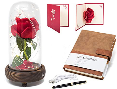 Beauty and the Beast Enchanted Rose in Glass Dome with LED Light and Journal