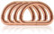 Ganzoo D - Ring aus Stahl, 4er Set, Innenmaß 32mm, Materialstärke 5mm, DIY Hunde-Halsband, nichtrostend, geschweißt, Ideal mit Paracord 550, Farbe Rose-Gold