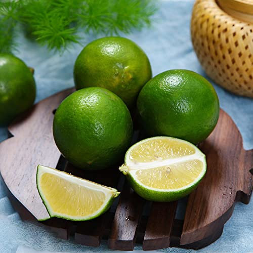 50 Seeds Bio Parfüm Zitronensamen Winterhart Zitronenbaum Kaufen Zitronen Samen Lemon Tree Seed Zitronenbaum Zitronenbaumsamen Obst Bonsai Samen