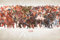 Grindstore Maxi-Poster Avengers Line Up von Alex Ross, schwarzer Holzrahmen