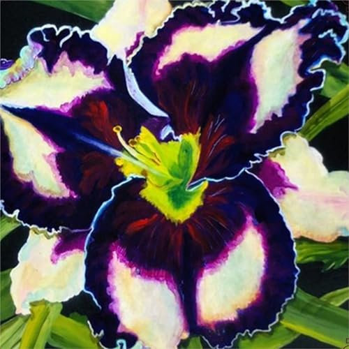 Taglilien zwiebeln,winterhart pflanze,Seltene Pflanze,Dekorative Blumen,taglilien mehrjährig Pflanze,Hemerocallis pflanzen,Taglilien rhizome Winterhart,Hemerocallis Knollen.-3zwiebeln-C
