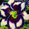 Taglilien zwiebeln,winterhart pflanze,Seltene Pflanze,Dekorative Blumen,taglilien mehrjährig Pflanze,Hemerocallis pflanzen,Taglilien rhizome Winterhart,Hemerocallis Knollen.-3zwiebeln-C
