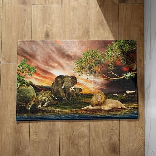 Ethereval Fußmatte Waschbar Innen Bunt Fussmatte rutschfest Löwe Schmutzfangmatte Für Innen Und Außen, rutschfest, Waschbar Fussmatte Haustür 50X80cm
