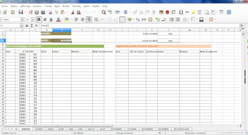 FICHIER DE COMPTABILITE POUR MICRO ENTREPRISE (AVEC TVA)