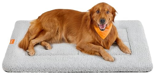 Feandrea Hundedecke, Haustier Decke, für Hunde, Katzen, 120 x 75 cm, XXL, maschinenwaschbar, trocknergeeignet, rutschfest, hellgrau PPB021G01