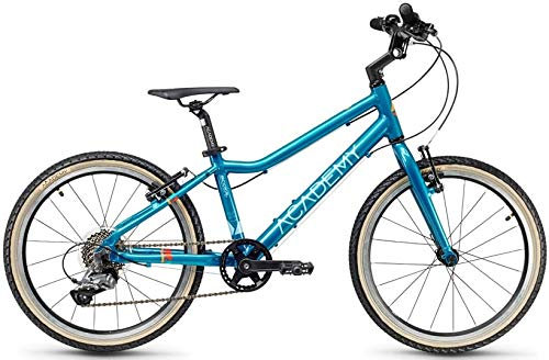 Academy Grade 4 20R Kinder Fahrrad (29cm, Blau)