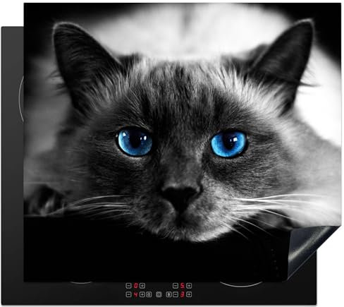 KitchenYeah© Protege Plaque Tapis Pour Induction 60x52 cm Deco Cuisine Protection Vitrocéramique Pour Cuisiniere Chat - Yeux - Gris - Bleu