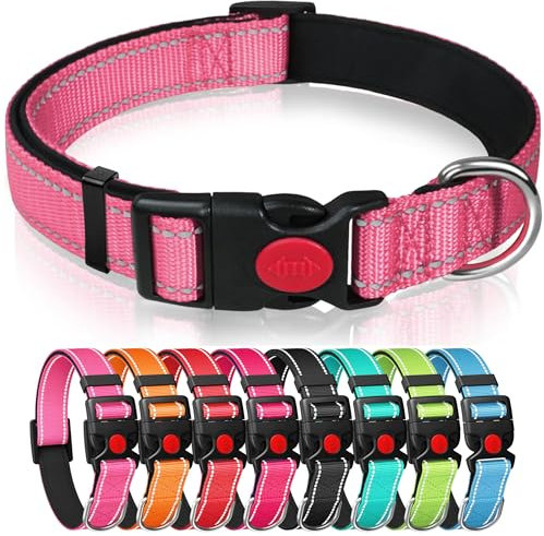 Reflective Nylon Dog Collar with Safety Buckle, Adjustable Pet Collars with Soft Neoprene Padding (Pink, M)
