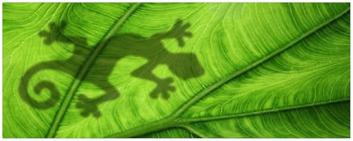 Wallario Küchenrückwand selbstklebend 115 x 50 cm, Motiv: Gecko Schatten auf grünem Blatt - Umriss | Spritzschutz abwischbar & pflegeleicht