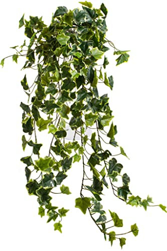 Botanic-Haus künstlicher Efeu Hängebusch, Kunstpflanze Holland Efeu ca. 100 cm lang, Farbe: grün-Creme