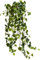 Botanic-Haus künstlicher Efeu Hängebusch, Kunstpflanze Holland Efeu ca. 100 cm lang, Farbe: grün-Creme